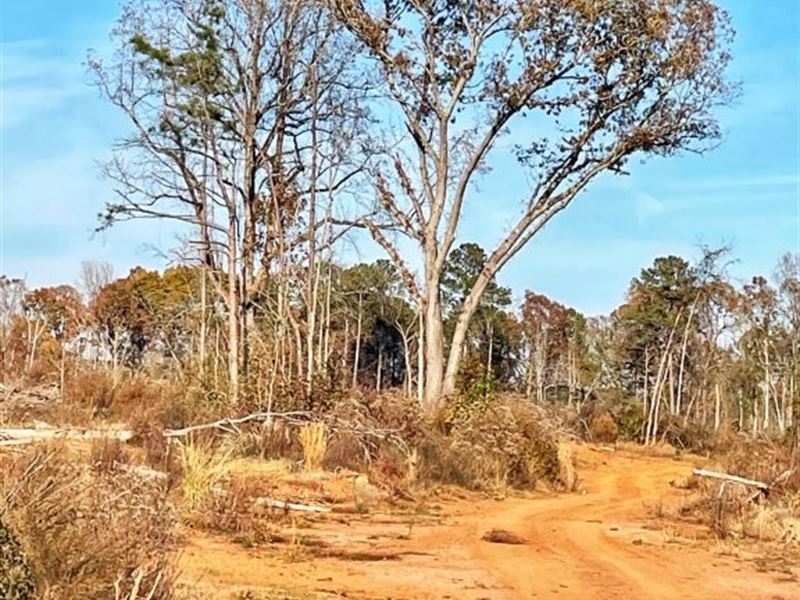 Fullerton-Phillips & Greer Road : Hillsboro : Jasper County : Georgia