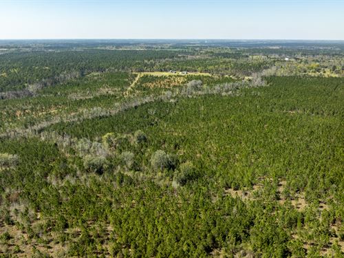 Toombs County 93 Acres : Uvalda : Toombs County : Georgia