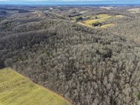 Ohio Hunting & Timber Land Auction : Lewisville : Monroe County : Ohio