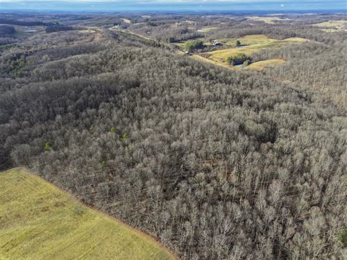 Ohio Hunting & Timber Land Auction : Lewisville : Monroe County : Ohio