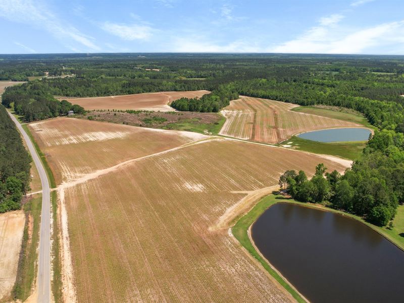 Middleground Road : Statesboro : Bulloch County : Georgia