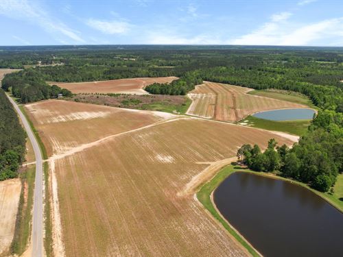 Middleground Road : Statesboro : Bulloch County : Georgia
