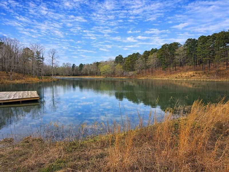 Bourbon Hollow : Bigelow : Pulaski County : Arkansas