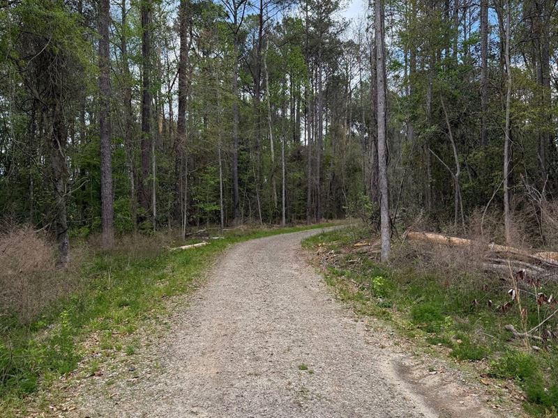 100 Acres Dry Creek : Brantley : Crenshaw County : Alabama