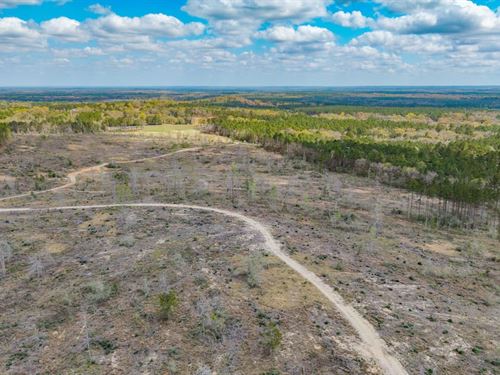 103 Ac Incredible Bluff Views in WA : Vernon : Washington County : Florida