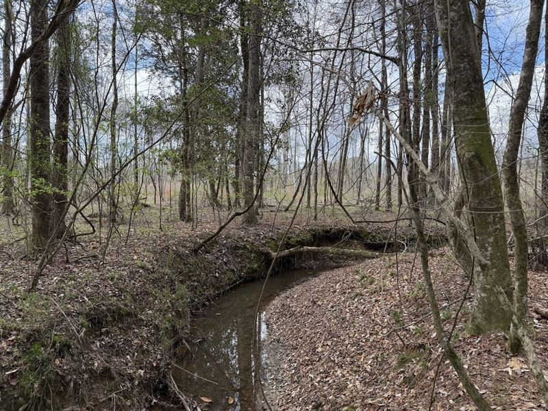 Bass Place : Georgiana : Butler County : Alabama