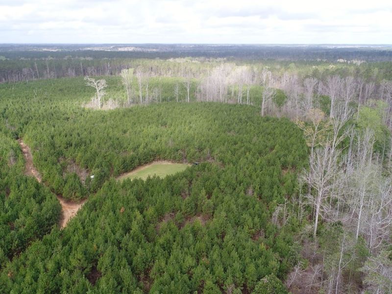 70 Ac Butler Co Reid Tract : Georgiana : Butler County : Alabama
