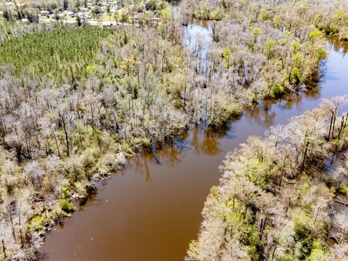 24 Ac Chipola River Frontage in Cal : Blountstown : Calhoun County : Florida