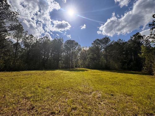 31 Macon County : Tuskegee : Macon County : Alabama