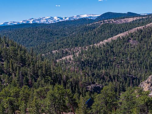 2737 Red Ashby Road : Livermore : Larimer County : Colorado