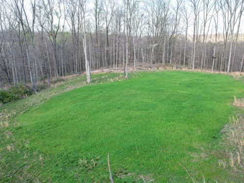 Bell Hollow : Vanleer : Dickson County : Tennessee