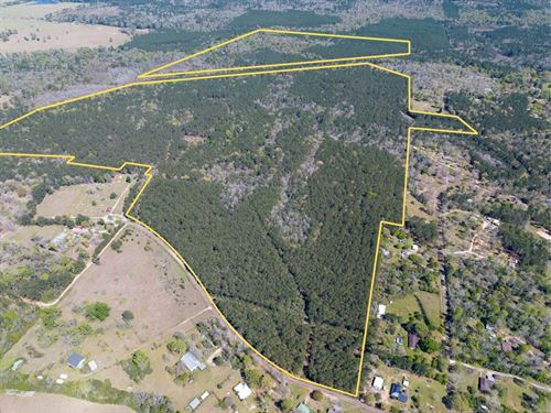 333 Acres, Glass Ranch : Woodville : Tyler County : Texas