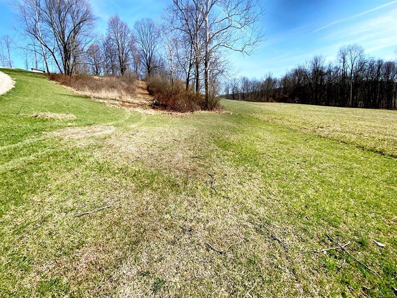 Twp Rd 408, 5 Acres : Warsaw : Coshocton County : Ohio