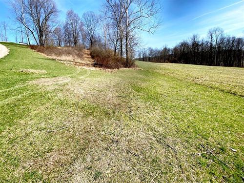 Twp Rd 408, 5 Acres : Warsaw : Coshocton County : Ohio