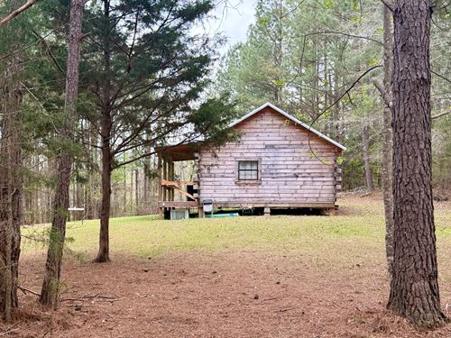 The Cabin on Gaston Branch : Wadley : Randolph County : Alabama