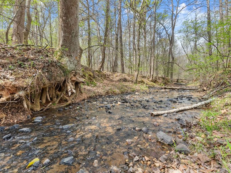 19 Acres, Banks County, GA : Homer : Banks County : Georgia