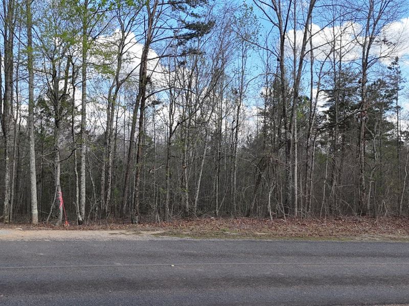 Tract 6 Muscadine Acres : Muscadine : Cleburne County : Alabama