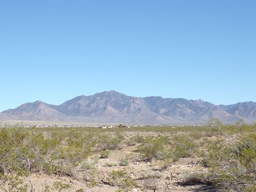 Peace, Privacy,Investment Potential : Dolan Springs : Mohave County : Arizona