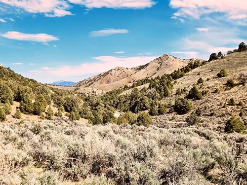 Desert Freedom Land Build or Invest : Montello : Elko County : Nevada
