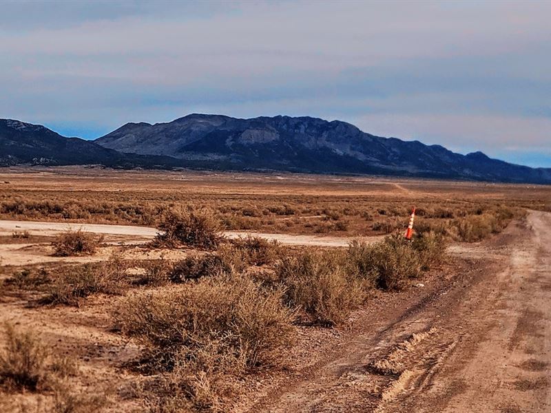 Desert Freedom Land Build or Invest : Montello : Elko County : Nevada