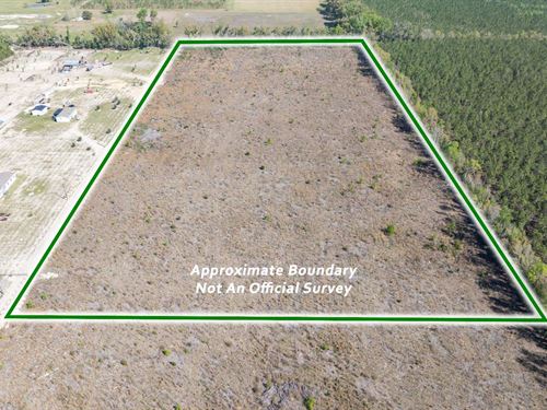 Cleared 20 Acres : Live Oak : Suwannee County : Florida