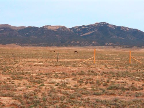 Own Your Slice of Nevada : Montello : Elko County : Nevada