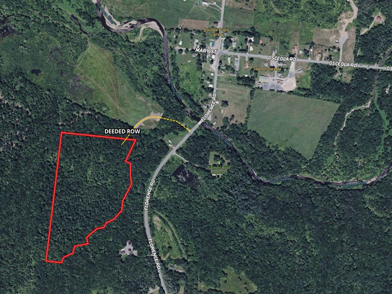25 Acres of Private, Wooded Land : Osceola : Lewis County : New York