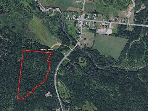 25 Acres of Private, Wooded Land : Osceola : Lewis County : New York
