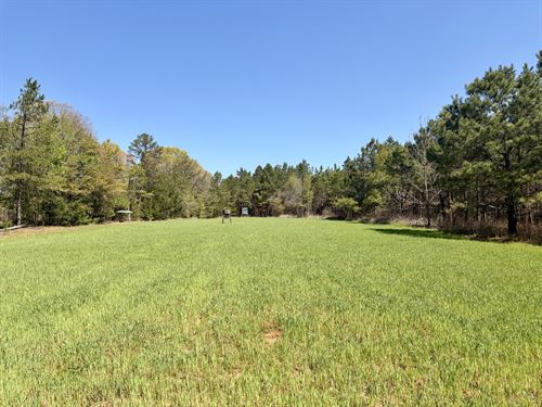 Sawyer Lane Hunting and Timber Trac : Forest Home : Butler County : Alabama