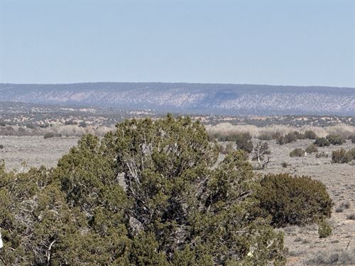 304 Acres Prime Development Opp : Sanders : Apache County : Arizona