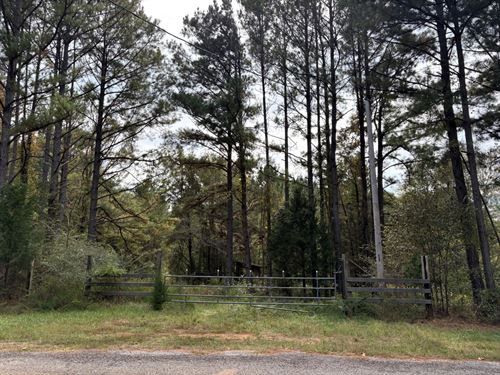 Prime Hunting & Timber Investment : La Fayette : Chambers County : Alabama