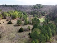 Maple Road Tract : Jasper : Walker County : Alabama