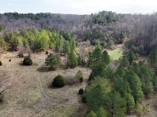 Maple Road Tract : Jasper : Walker County : Alabama