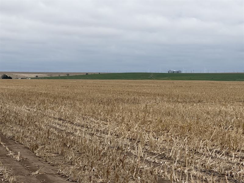 Thomas County Cropland, 2017K : Levant : Thomas County : Kansas