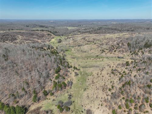 Land for Farming and Hunting in MO : Norwood : Wright County : Missouri