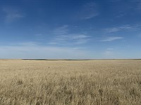 Lincoln / Washington Counties Crp : Arriba : Lincoln County : Colorado