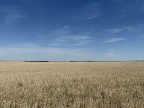 Lincoln / Washington Counties Crp : Arriba : Lincoln County : Colorado