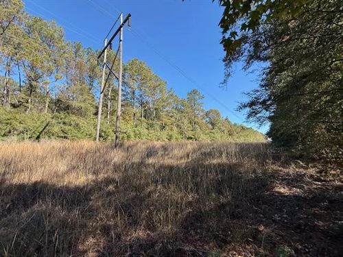 17.41 Acres, Hammond Sylvest Road : Franklinton : Washington Parish : Louisiana