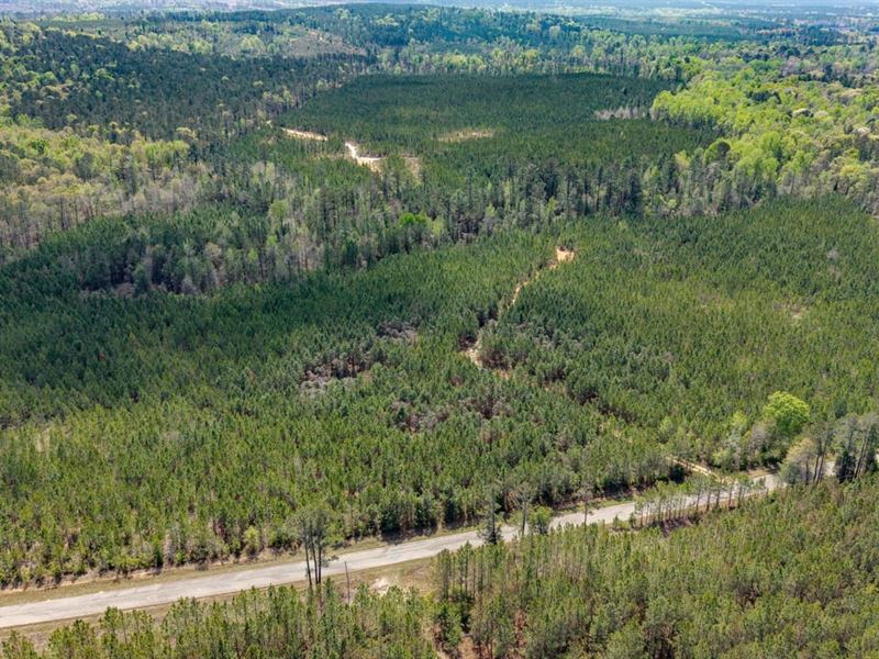 108 Ac Recreational Timberland : Fort Gaines : Clay County : Georgia
