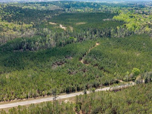 108 Ac Recreational Timberland : Fort Gaines : Clay County : Georgia