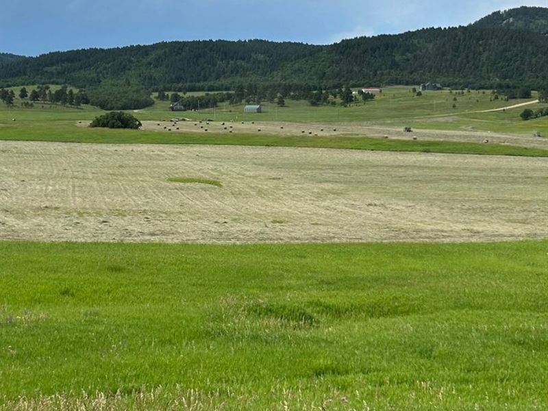 Buffalo Ranch Estates 120 Acres : Spearfish : Lawrence County : South Dakota