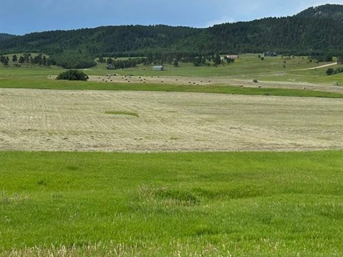 Buffalo Ranch Estates 120 Acres : Spearfish : Lawrence County : South Dakota