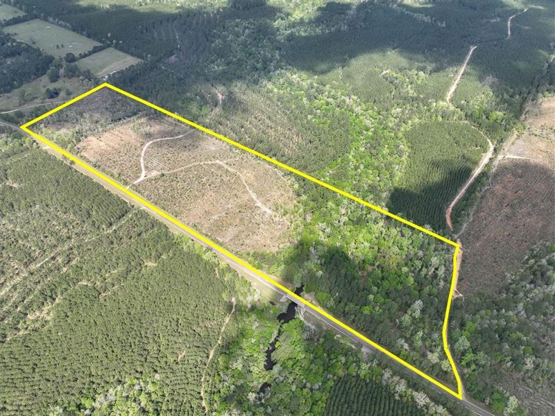 41 Acres, FM 2827, Aa6241 : Warren : Tyler County : Texas