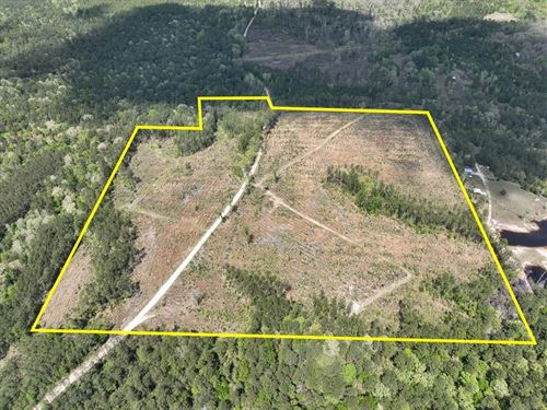 46 Acres, County Road 2834, Sn601 : Colmesneil : Tyler County : Texas