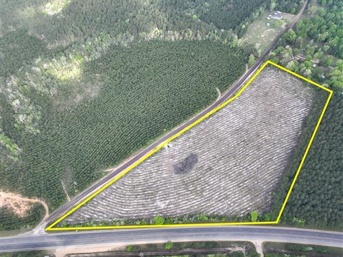 17 Acres, Highway 190, Sn6146 : Woodville : Tyler County : Texas