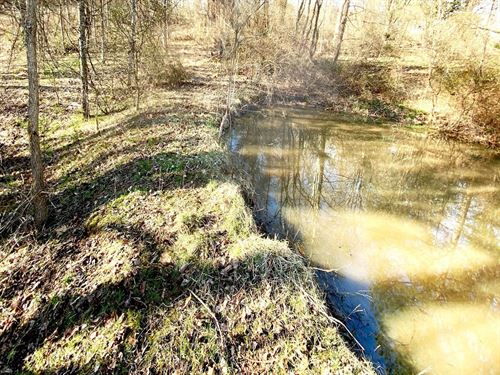 Twp Rd 318, 7 Acres : Dexter City : Noble County : Ohio