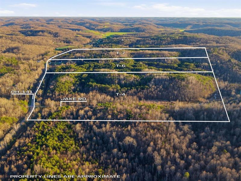 St Rt 141 Parcel 6, 40 Acres : Patriot : Gallia County : Ohio