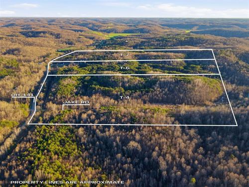 St Rt 141 Parcel 6, 40 Acres : Patriot : Gallia County : Ohio