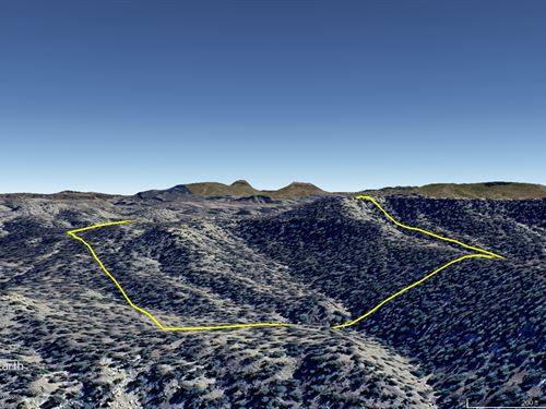 Beautiful Remote Woodland : Pie Town : Catron County : New Mexico