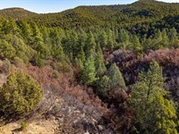 58 Blackhawk Ranch : Walsenburg : Huerfano County : Colorado